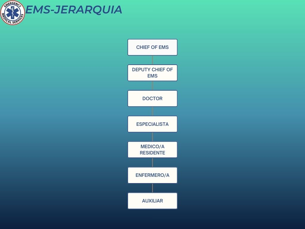 Jerarquía EMS