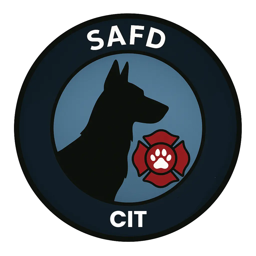 CIT icon